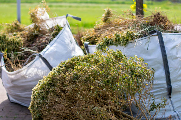 Best Local Junk Hauling  in Kensington, MD